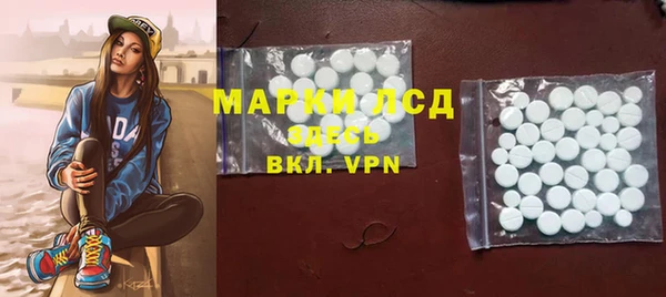 стаф Вязники