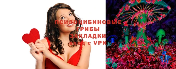 стаф Вязники