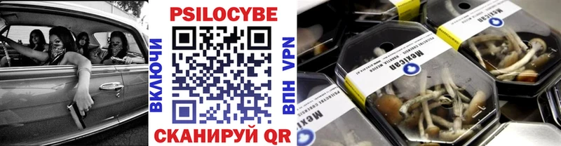 как найти   Городище  кракен вход  Псилоцибиновые грибы мухоморы 
